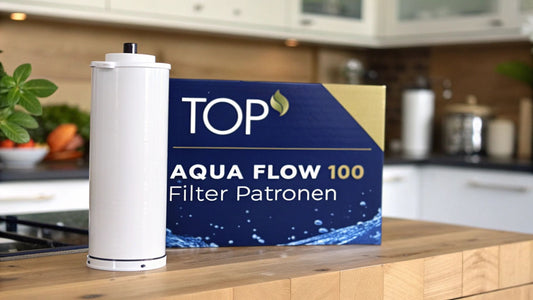 Top 6 Aqua Flow 100 Filter Cartridges in 2025